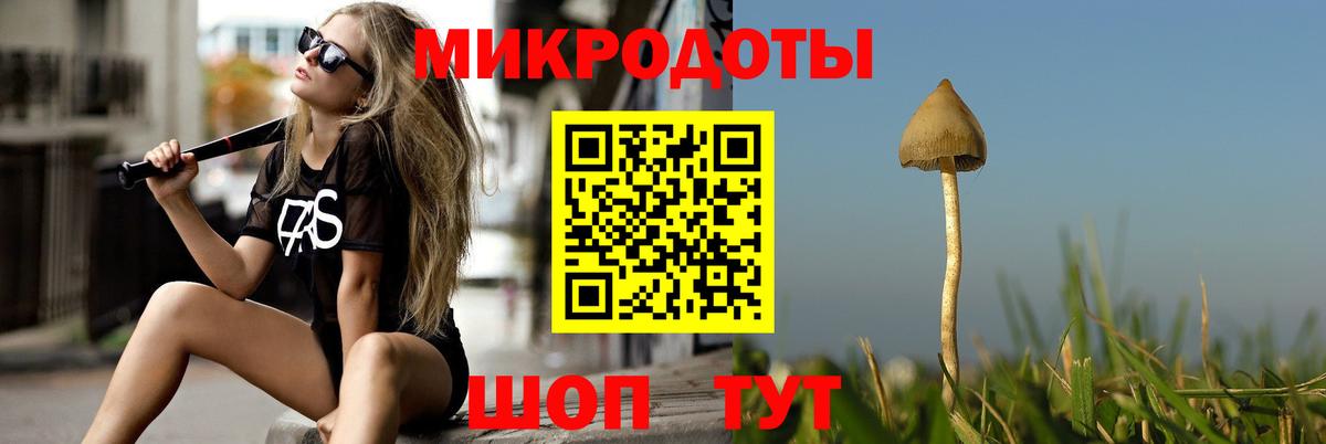 Галлюциногенные грибы GOLDEN TEACHER Грозный